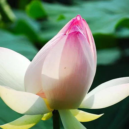 Pensionat Ca' Tazzoli, Mantegnahotels